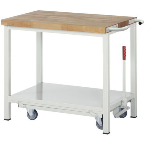 Etabli Rau avec châssis abaissable modèle 8000 L 1000 x P 700 x H 880mm (1/4)