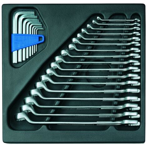 Jeu de cles mixtes GEDORE 25 pieces en module plastique ABS (1/5)