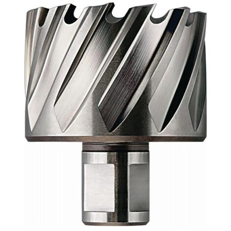 Fraise HSS-Nova 25 Ø 15 x 25 Weldon Fein HSS-Nova 25 63134150051 15 mm 1 pc(s) Y515691 (1/3)