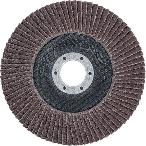 Disque à lamelles Ø 125 mm K 40 BGS (1/3)