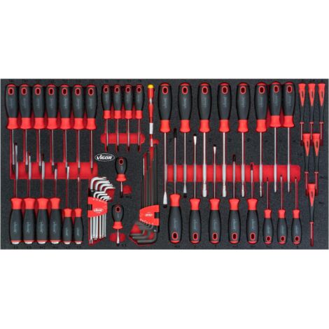 VIGOR Jeu de tournevis pour séries XL 60 (1/3)