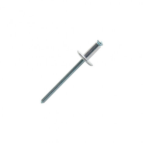 250 rivets aveugles éclatés alu/acier TL, D. 4.8 x 25 mm - PAL4825 - Scell-it (1/3)