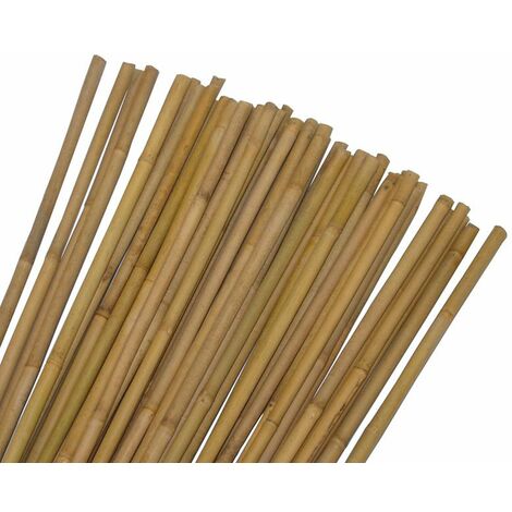 SUINGA - Pack de 200 tuteurs en bambou de 210 cm, 14-16 mm. Tiges de