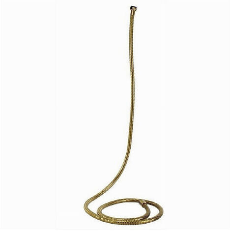 Tub Laccio Flessible Doccetta Vasca Bagno 2 Mt Universale 59536 Dorato (1/2)
