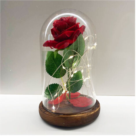 Rose éternelle Enchantée La Belle Et La Bête Sous Dôme Avec Base En Bois Et Lumières Led