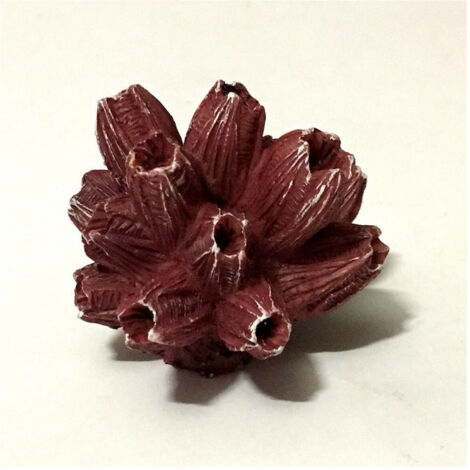 Corallo Finto In Resina 5 Cm Artificiale Per Decorazioni Acquario Addobbi (1/3)