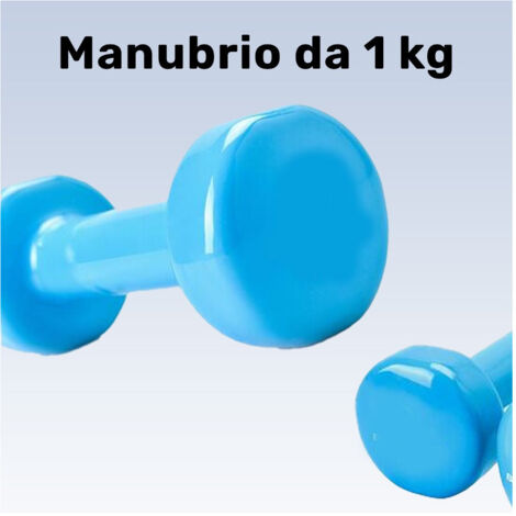 Haltère Simple En Vinyle De 1 Kg Pour Salle De Sport (1/2)
