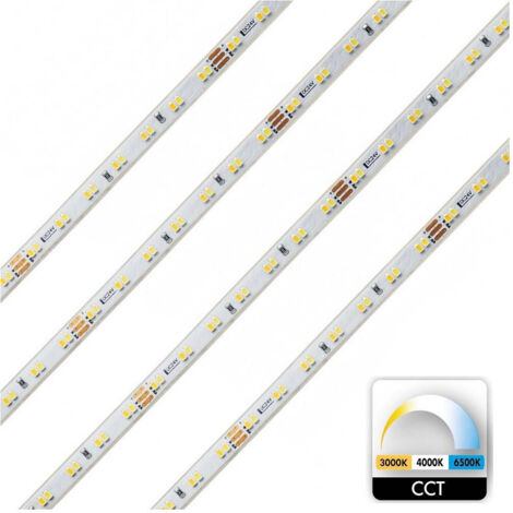 Striscia 980led 62w Cct Da 3000k A 6500k 24v Impermeabile Dimmerabile Bobina 5mt (1/4)