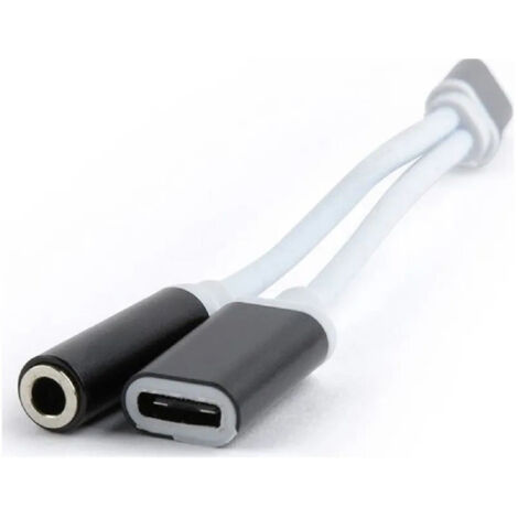Adaptateur Smart 2-en-1 Type-c Vers Cable Audio Stereo 3,5 Mm / Usb-c Femelle Q-a186 (1/3)