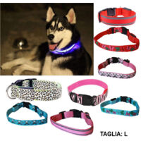 Collare Per Cane Cani A Led Luminoso Sicurezza Led Notturno Clip Fantasia Tg.l