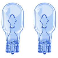 Position Bulbs T15 W16w 12v Car 16w Cold Light Halogen No Canbus L-p134