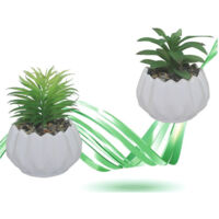 Vaso In Ceramica With Piantina Artificiale Pianta Regal Idea Bomboniera 14x19 Cm