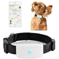 Collier Gps Gsm Tracker Pour Animaux Chien Chat Avec Collier