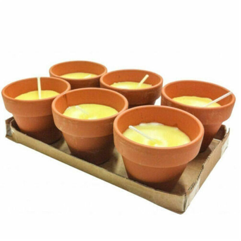 12 pezzi piccoli vasi di terracotta mini fioreti in argilla per