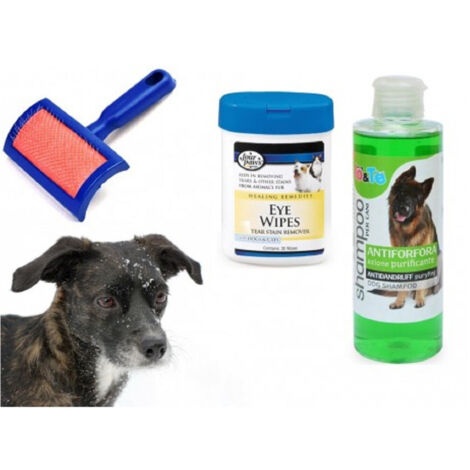 Trade Shop - Kit Pulizia Cani Shampoo Azione Purificante Salviettine Spazzola Cardatore Antiforfora - (1/2)