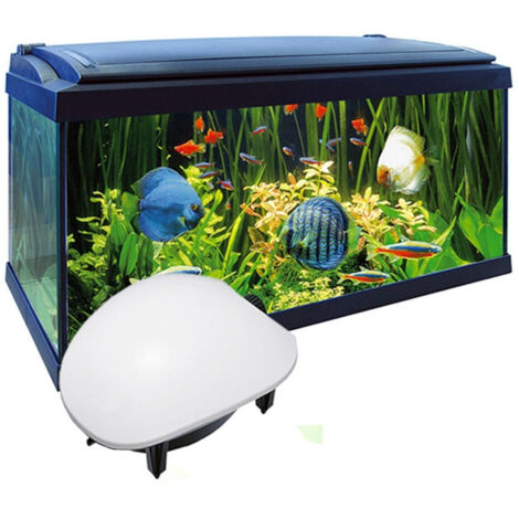 Trade Shop - Luftpumpe, Belüfter, Belüfter für Aquarienfische, 2,1 l/min, extern, 1,5 W, AP-8801 - (1/3)