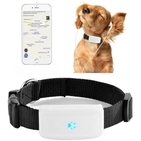 Trade Shop - GPS GSM TRACKER HALSBAND FÜR HAUSTIERE HUND KATZE MIT HALSBAND -