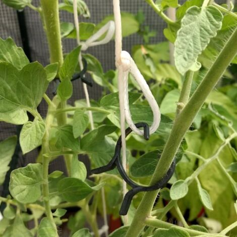 200 Pièces Clips De Support Pour Plantes,Attache Tomate,Réutilisables