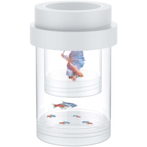 Boîte d'élevage pour aquarium, boîte d'élevage flottante pour guppys, séparateur d'alevins, incubateur en plastique pour crevettes, betta, poisson-clown (moyen)