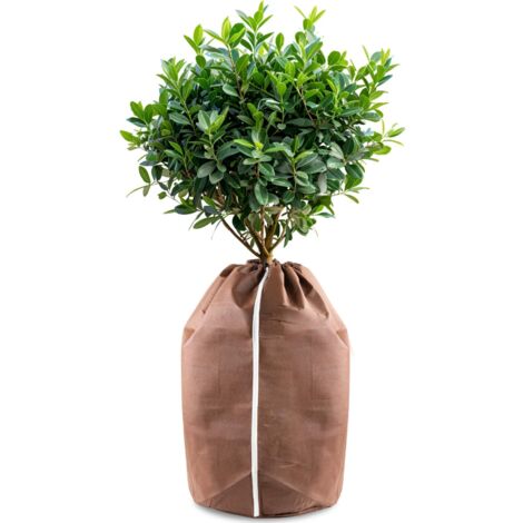 Housses d’hivernage pour Plantes en Pot, 40x40cm Housses hivernage, Housse Hivernage Plante, Housse d’Hivernage, Brun (1/5)
