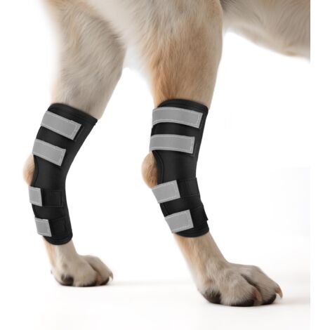 Genouillère pour Chien 2 Unités for Pattes Arrière avec Sangles Réfléchissantes, Attelle pour Jambe Offrant Un Soutien Articulaire pour la Guérison des Blessures et des Entorses,XL (1/5)
