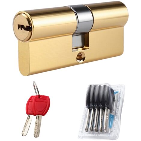 60MM (30/30) Cylindre de Serrure Antivol en Cuivre Haute Sécurité, Barillet Porte d'Entrée avec 5 Clés, Nickel Satiné Cylindre Serrure, Anti-Crochetage, Anti-Perçage, Anti-Choc,
