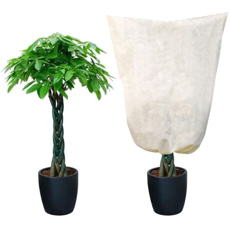 Grande Housse de Protection hivernale pour Plantes en Pot - 120 x 180 cm - Indéchirable et Respirant - Beige - avec Cordon de Serrage - Protection Contre Le Gel pour Plantes en Pot