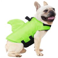 Gilet de sauvetage pour chien, gilet de sécurité, bouée de sauvetage pour chiot, costume de natation pour chien de petite et moyenne taille (M, vert)