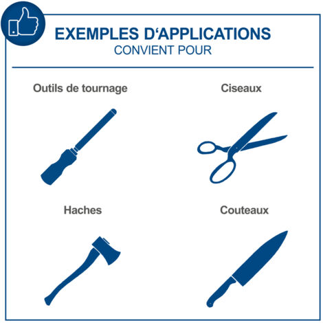 Touret à Meuler Scheppach Affûteuse à Eau TIGER2500 - Moteur à Induction 200W - Meule En Corindon Supérieur 250mm - Dispositif Pour Outils Standard Droits - Pâte à Poncer - Disque à