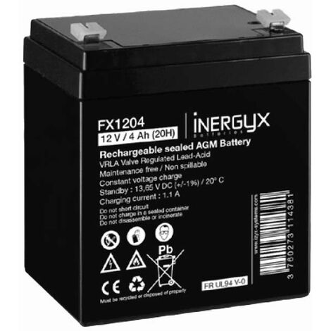 FX1204 Batterie rechargeable 4 Ah VRLA IZYX