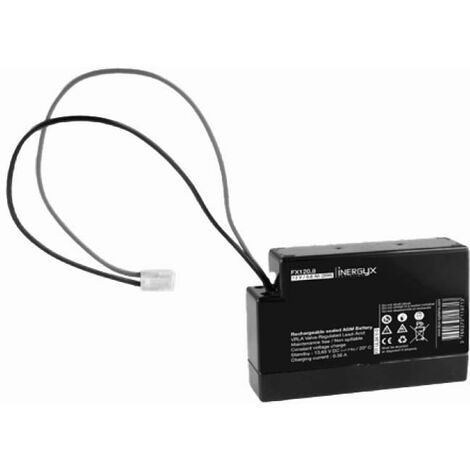 FX120.8 Batterie rechargeable 0.8 Ah VRLA IZYX