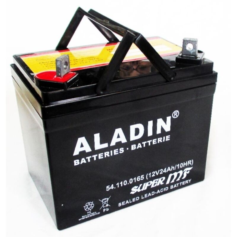 Batterie SECURA 12V 22Ah - Compatible Tracteur Tondeuse MTD, Pôle + à