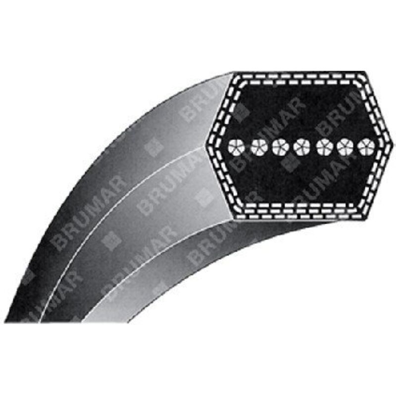 Courroie Hexagonale BB100 Pour Tondeuse Autoportée - Longueur 2540 Mm - Compatible COUNTAX, WESTWOOD Carter 42" - Remplacement Référence 229503501