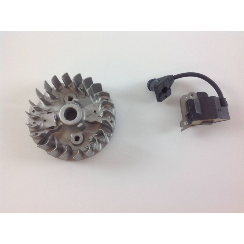 Kit Clés Bobine Allumage Volant Inertie Honda GX25 GX25N - 31110-Z0H-003 30500-Z0Z-023