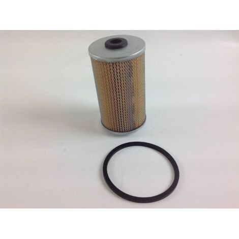 Filtre à carburant naphta immergé pour moteur RUGGERINI rd951/2 crd100/2 (1/4)