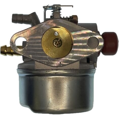Carburateur compatible avec le moteur TECUMSEH AG 0440199 (1/4)