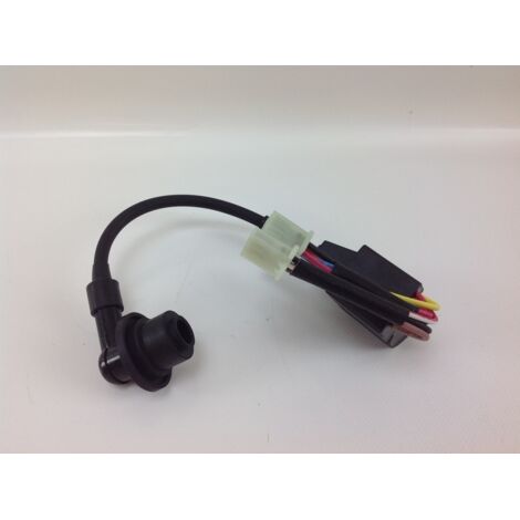 Bobine d'allumage DUCAR pour générateurs D 2000i 038506 (1/4)
