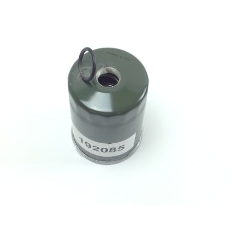 Filtre à carburant d'origine BRIGGS & STRATTON pour moteur diesel de tracteur de pelouse (1/4)
