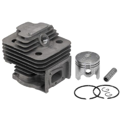 Cylindre complet PROGREEN - 058924
