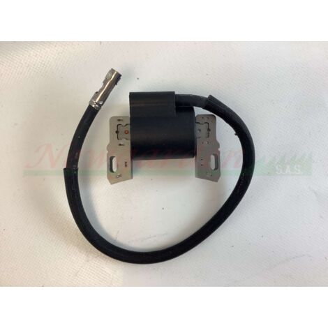 Bobine d'allumage Briggs & Stratton pour moteurs vanguard 9 12.5 13 14 HP Vtwin 9 HP (1/4)