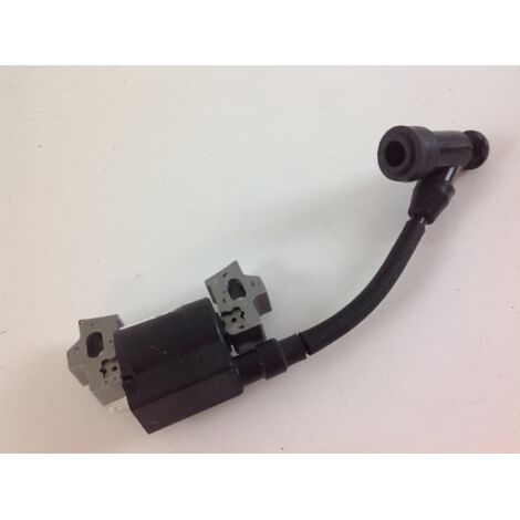 Bobine électronique compatible avec le moteur de la tondeuse NGP T375 T475 fabriquée en CHINE (1/4)