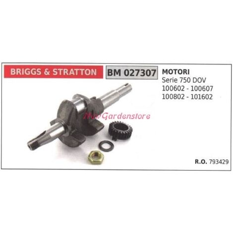Vilebrequin moteur BRIGGS&STRATTON moteur tondeuse 750 DOV 027307
