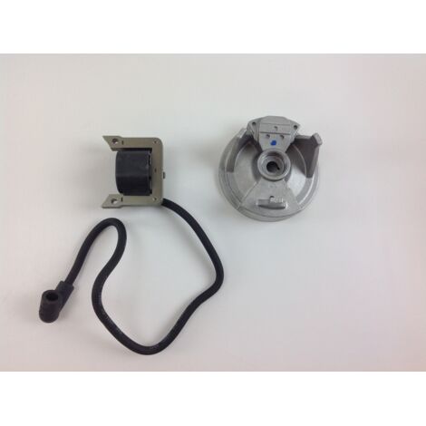 Bobine d'allumage EMAK pour brumisateurs AM 150 AM 180 et moteurs S 50 003601 (1/4)