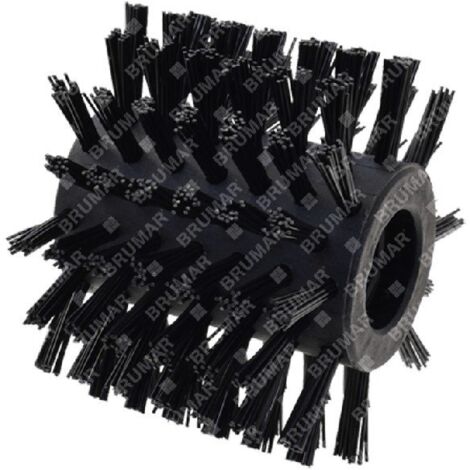 Brosse pour brosseuse PROGREEN PGSP5521EL - 058538