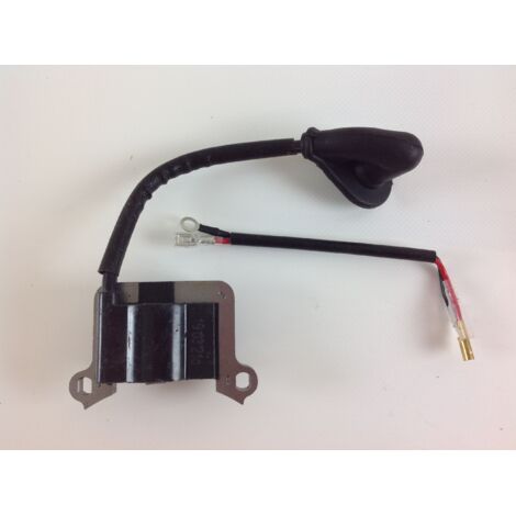 Bobine d'allumage PROGREEN pour moteurs de débroussailleuses PG 43 PG 52D 038781 (1/4)
