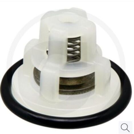 Kit de valves pour pompe à membrane BP 75 ANNOVI 6701220007000