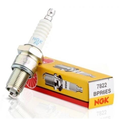 Bougie d'allumage NGK pour moteur de tondeuse à gazon BPR6ES 240230