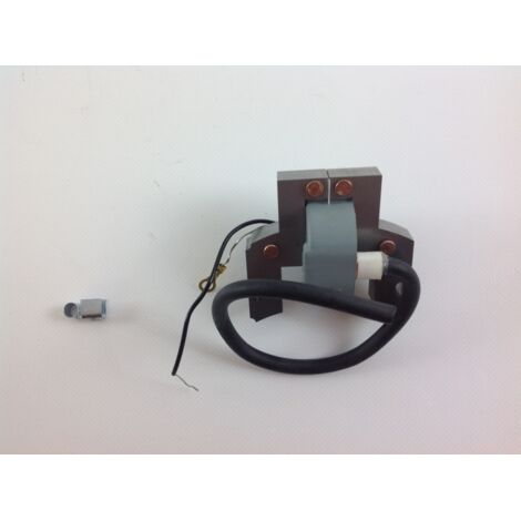 Bobine d'allumage pour moteur de tracteur de pelouse BRIGGS & STRATTON 06 08 horizontal (1/4)