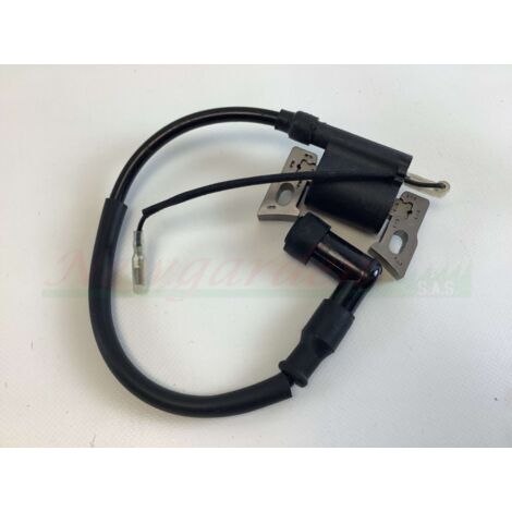 Bobine d'allumage HONDA tronçonneuse G100 R102259 (1/4)