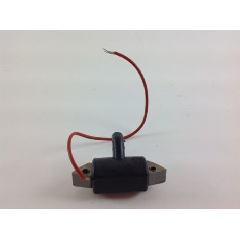 Bobina ORIGINALE motore ACME LOMBARDINI AL215 290 330 106-004 (1/4)